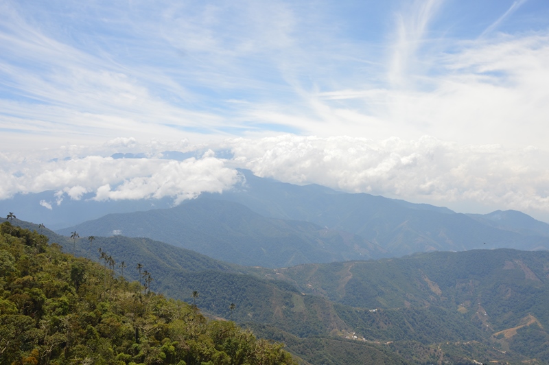 sierra nevada